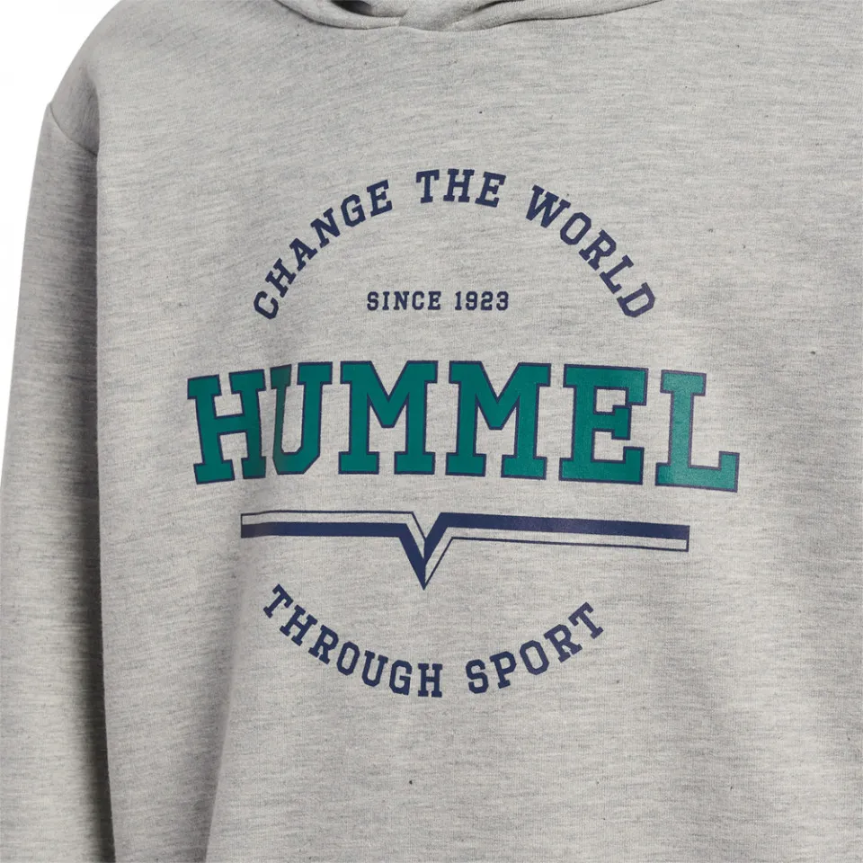 Hummel Sweatshirt hmlASHER HOODIE